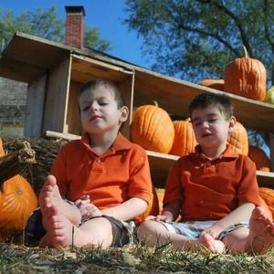 Meet your Posher, Joyce